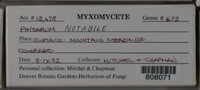 Image Associated With the Occurence